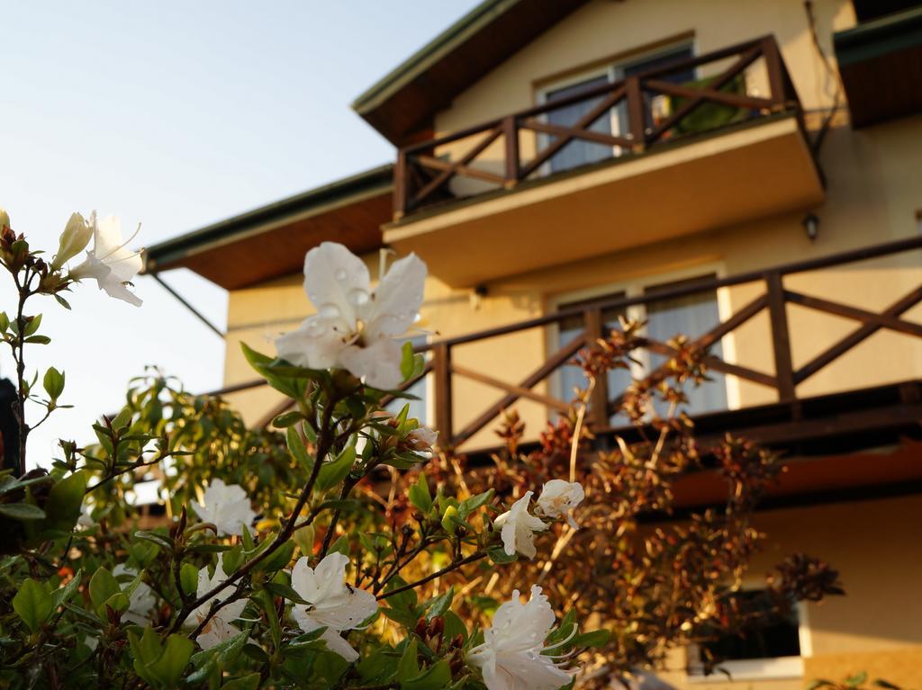 Anandaresort - Vegewakacje Władysławowo Exteriér fotografie